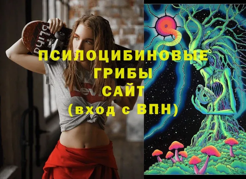 Галлюциногенные грибы Psilocybine cubensis  Бахчисарай 